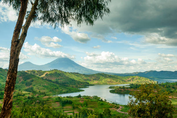 Rwanda 1
